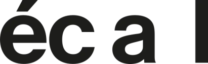 ECAL_logo